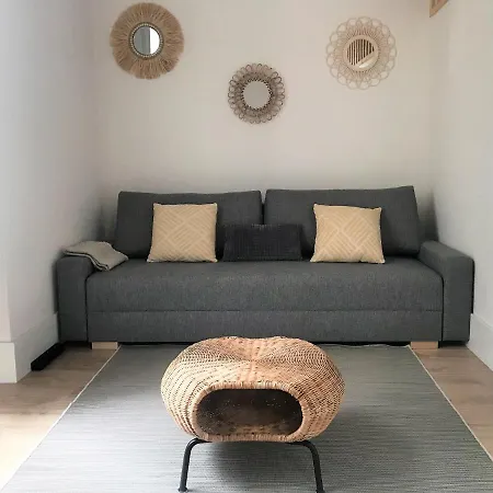 Apartamento Duplex Planta Baja Con Aparcamiento Gratuito En Palacio De Mijares Apartamento *